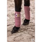 Imperial Riding póni polárfásli IRHCosmic Sparkle