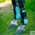 Imperial Riding Lovely ínvédő