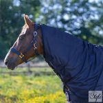 Imperial Riding Reese nyakas légytakaró