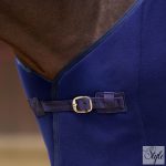 Imperial Riding Fundamental Basic polár lótakaró
