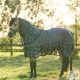 Imperial Riding eső-, és légytakaró IRHSuper-Dry AOP