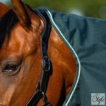 Imperial Riding Basic levehető nyakú karámtakaró 300 gr, 600D