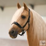 Imperial Riding bőr kötőfék IRHHera