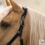 Imperial Riding bőr kötőfék IRHHera