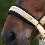 Imperial Riding Jewel kötőfék