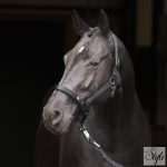 Imperial Riding Rebel kötőfék