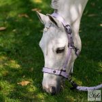 Imperial Riding Rebel kötőfék