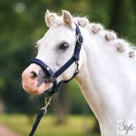 Imperial Riding Rebel kötőfék