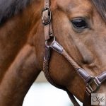 Imperial Riding Laura kötőfék