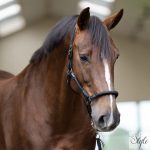 Imperial Riding Laura kötőfék