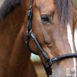 Imperial Riding Laura kötőfék