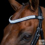 Imperial Riding Maxima homlokszíj