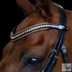 Imperial Riding Maxima homlokszíj