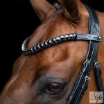 Imperial Riding Maxima homlokszíj