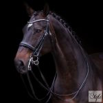 Imperial Riding Fria nagykantár