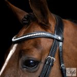 Imperial Riding IRH angol kantár