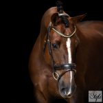 Imperial Riding IRH angol kantár