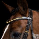 Imperial Riding IRH angol kantár