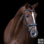 Imperial Riding IRH kantár ívelt orrszíjjal