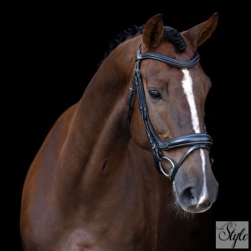 Imperial Riding IRH kantár ívelt orrszíjjal