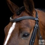 Imperial Riding IRH kantár ívelt orrszíjjal