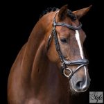 Imperial Riding IRH kantár ívelt orrszíjjal
