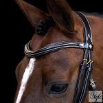 Imperial Riding IRH kantár ívelt orrszíjjal