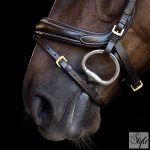 Imperial Riding IRH kantár ívelt orrszíjjal