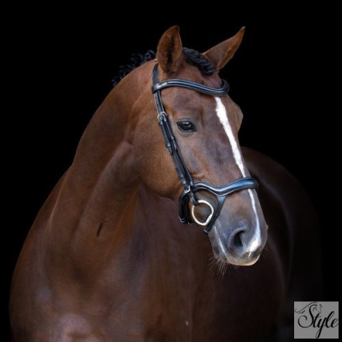 Imperial Riding IRH anatómiai kantár