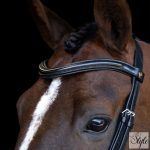 Imperial Riding IRH anatómiai kantár