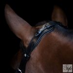 Imperial Riding IRH anatómiai kantár