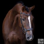 Imperial Riding IRH anatómiai kantár