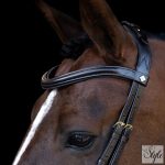 Imperial Riding IRH anatómiai kantár
