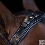 Imperial Riding IRH anatómiai kantár