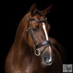 Imperial Riding IRH angol kantár