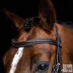 Imperial Riding IRH angol kantár