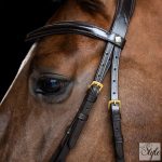 Imperial Riding IRH angol kantár