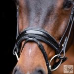 Imperial Riding kantár IRHOlympia