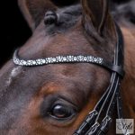 Imperial Riding kantár IRHOlympia