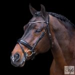 Imperial Riding kantár IRHOlympia