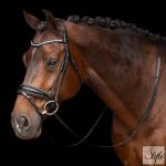 Imperial Riding Athena kantár