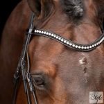 Imperial Riding Athena kantár