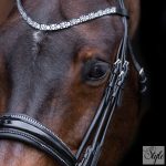 Imperial Riding nagykantár IRHOlympia