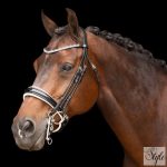 Imperial Riding nagykantár IRHOlympia