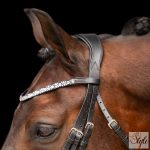 Imperial Riding nagykantár IRHOlympia