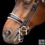 Imperial Riding nagykantár IRHOlympia