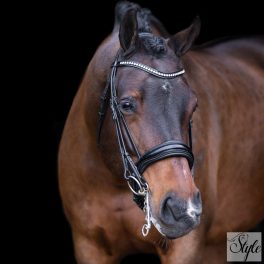 Imperial Riding Athena nagykantár