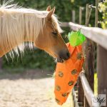 Imperial Riding répa alakú szénaháló IRHCarrot