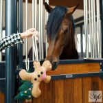 Imperial Riding mézeskalács alakú játék lovaknak IRHStable Buddy