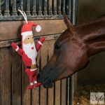 Imperial Riding Santa mikulás alakú játék lovaknak